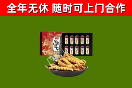 海丰县烟酒回收冬虫夏草礼盒.jpg