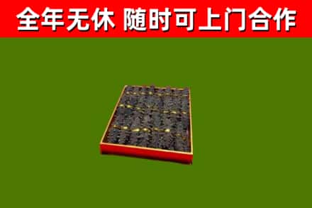 海丰县回收海参